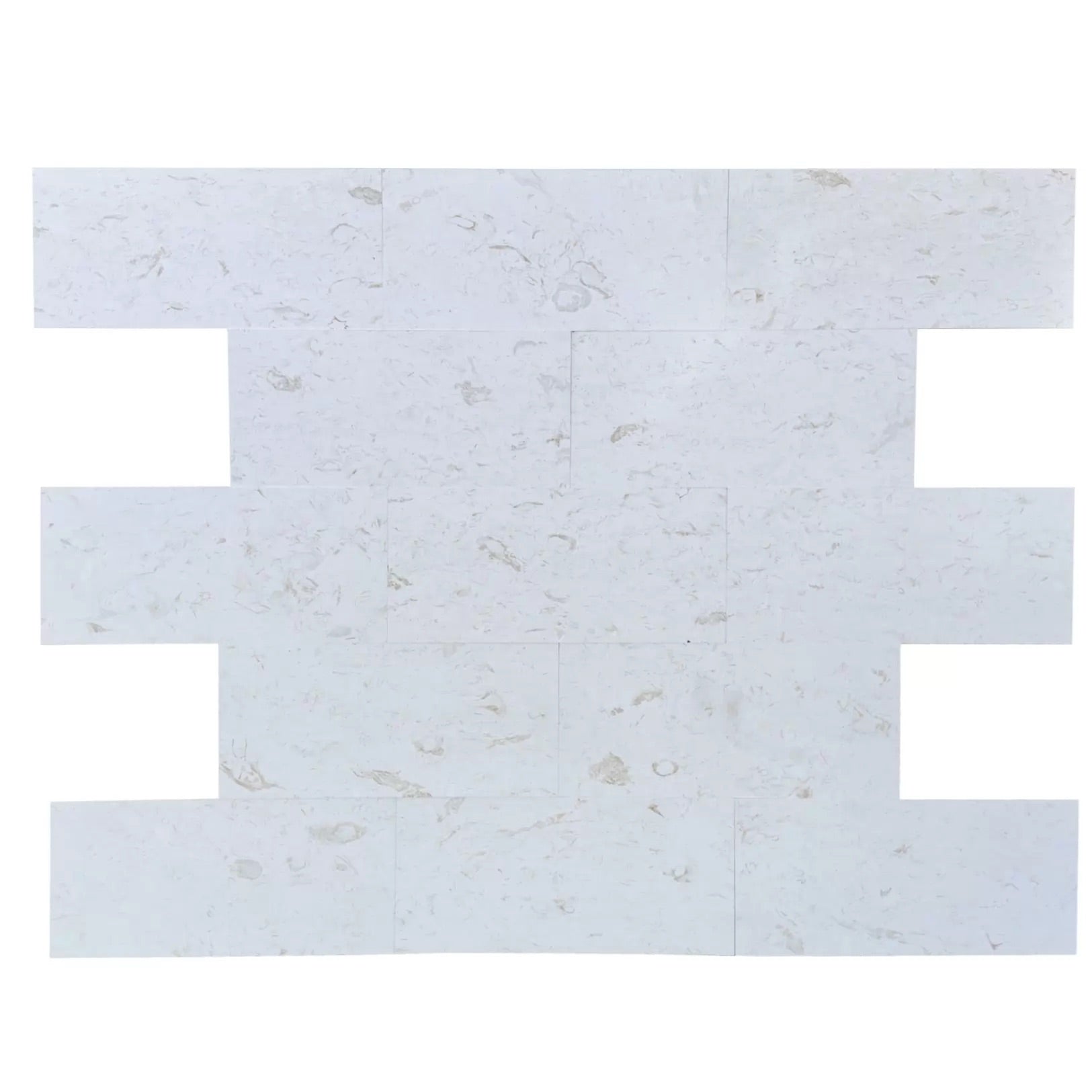 12x24 Shellstone Tile – Harmony Stone