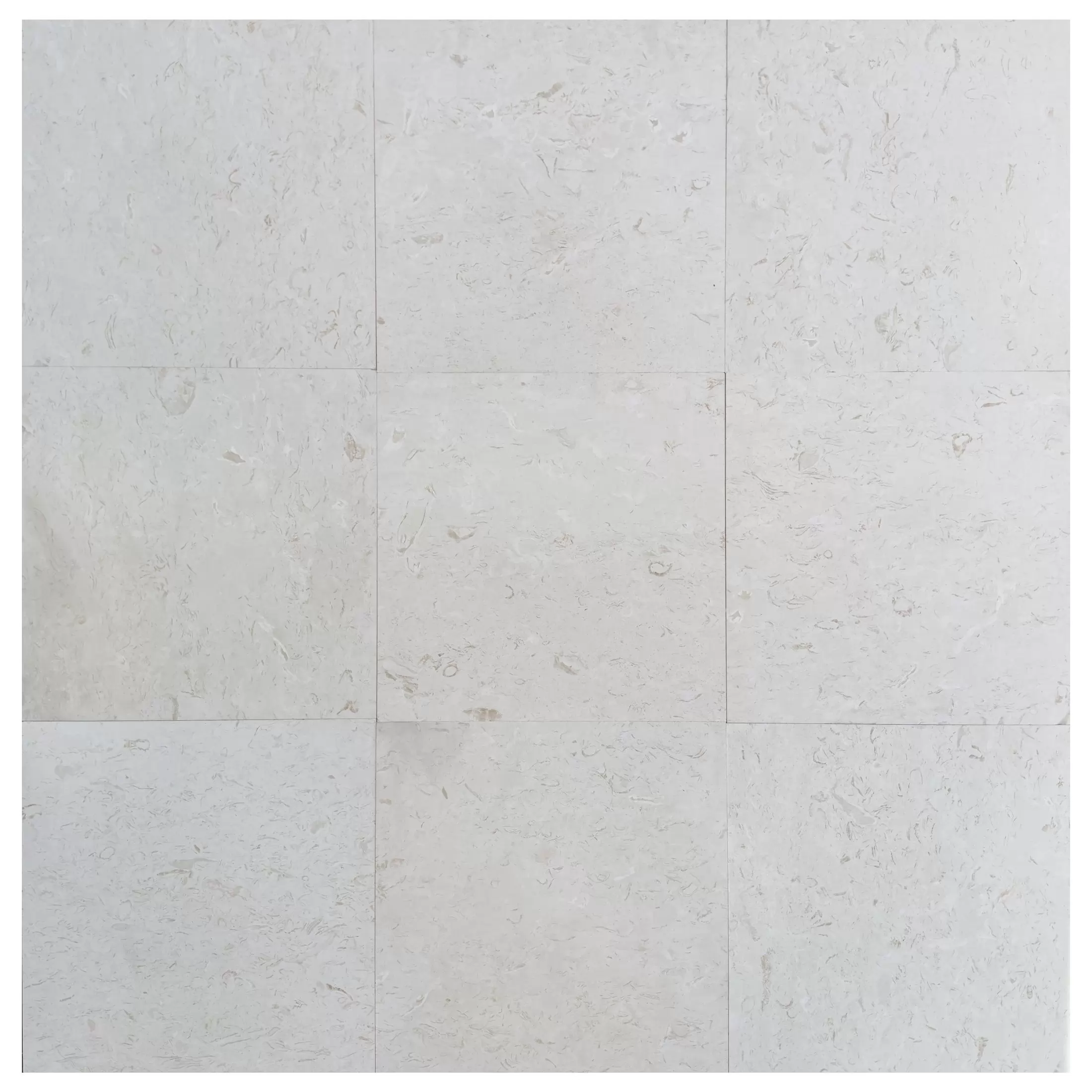 Shellstone T 24x24 Shellstone Tile – Harmony Stone