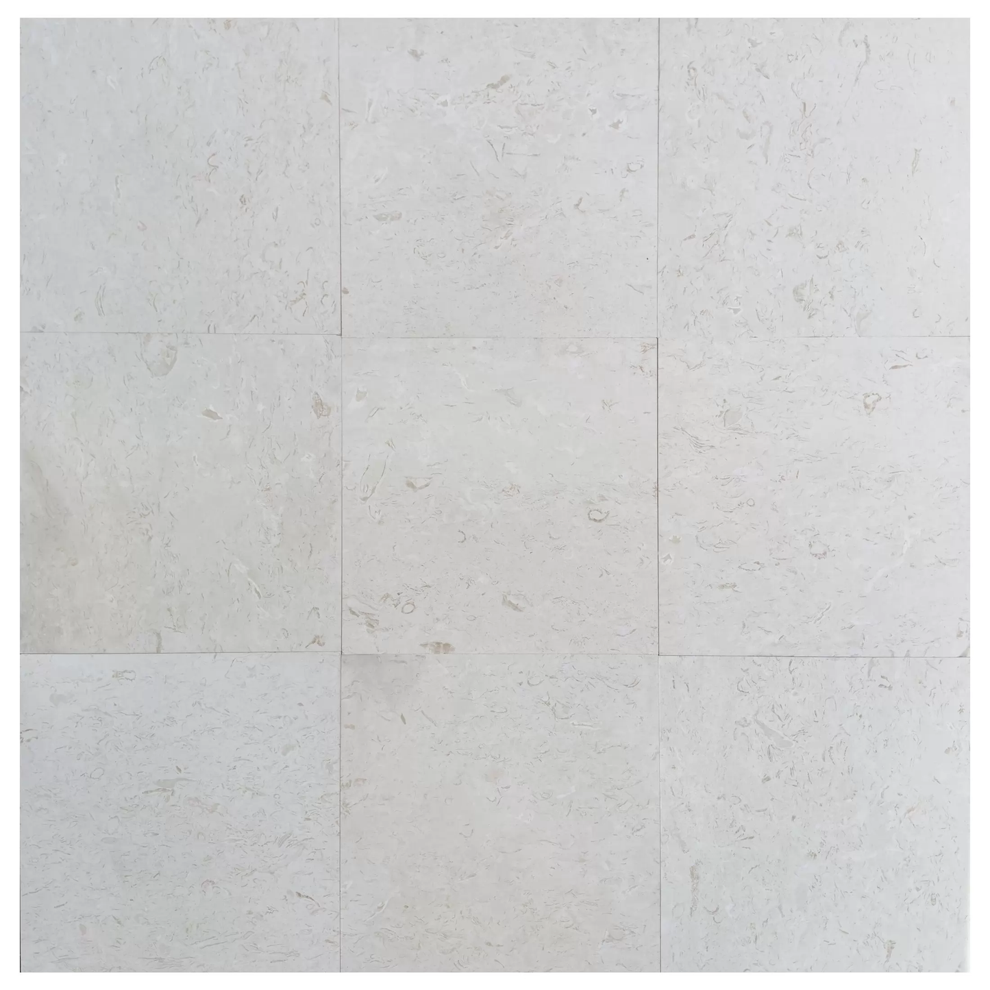 24x24 Shellstone Tile – Harmony Stone